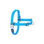 Harnais pour Chien Red Dingo 36-50 cm Turquoise S