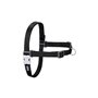Harnais pour Chien Red Dingo 42-59 cm Noir S/M