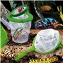 Jeu scientifique Lisciani Insectos ES (6 Unités)