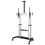 StarTech.com Pied TV Mobile - Chariot Support Télé Robuste Écrans 60-1