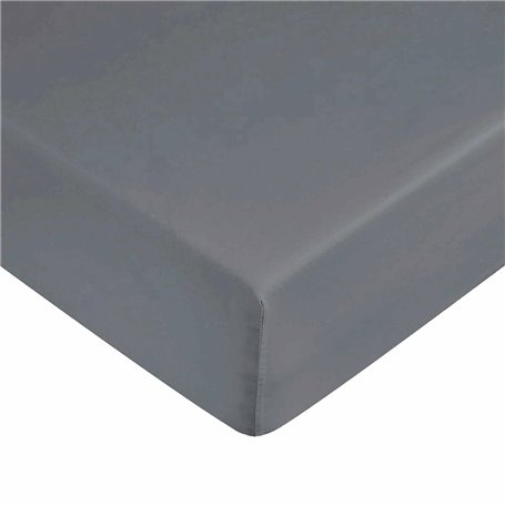 Drap housse Harry Potter Gris 140 x 200 cm