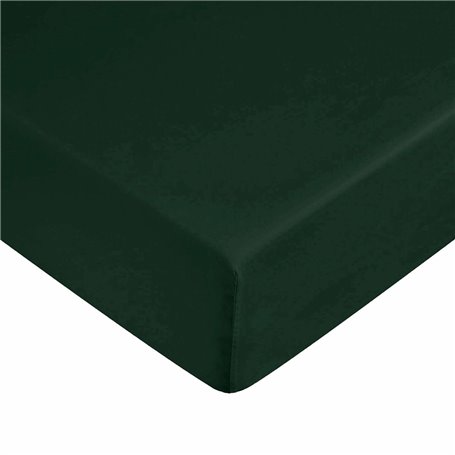 Drap housse Harry Potter Vert 60 x 120 cm