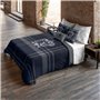 Housse de Couette Harry Potter Classic Ravenclaw 260 x 240 cm Lit king