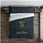 Housse de Couette Harry Potter Dormiens Draco 180 x 220 cm Lit 1 perso