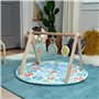Tapis de jeu Ingenuity