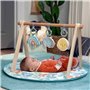 Tapis de jeu Ingenuity