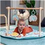 Tapis de jeu Ingenuity
