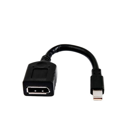 HP Câble adaptateur miniDP-DP