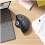 Logitech ERGO M575 for Business souris Droitier RF sans fil + Bluetooth Trackball 2000 DPI