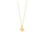 Collier Femme Secrecy P7159CDAW7C90 42 cm