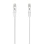 Câble RJ45 Catégorie 6 UTP Rigide Aisens A145-0595 1