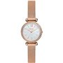 Montre Femme Fossil TILLIE MINI (Ø 26 mm)