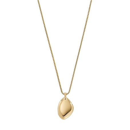 Collier Femme Skagen SKJ1725710
