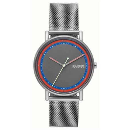 Montre Homme Skagen SIGNATUR (Ø 40 mm)