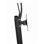 Support de table d'écran GEMBIRD MS-D2-01 17" 27"