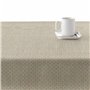 Nappe antitache Belum 0120-306 100 x 140 cm