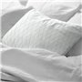 Taie d'oreiller Decolores Blenheim Blanc 50x80cm 50 x 80 cm Coton