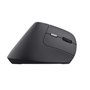 Souris Trust 25145 Noir