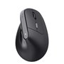 Souris Trust 25145 Noir