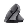 Souris Trust 25145 Noir