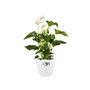 ELHO Brussels Pot de fleurs rond Roues 47 - Blanc - Ø 47 x H 44 cm - intérieur - 100% recyclé