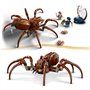LEGO Harry Potter 76434 Aragog dans la Foret interdite - Set sur le theme des araignées