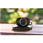 Enceinte portable bluetooth - RYGTH - Toogo-S Led