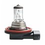Ampoule Halogène M-Tech Z8 H11 12V 55W PGJ19-2 Halogène 55 W 12 V