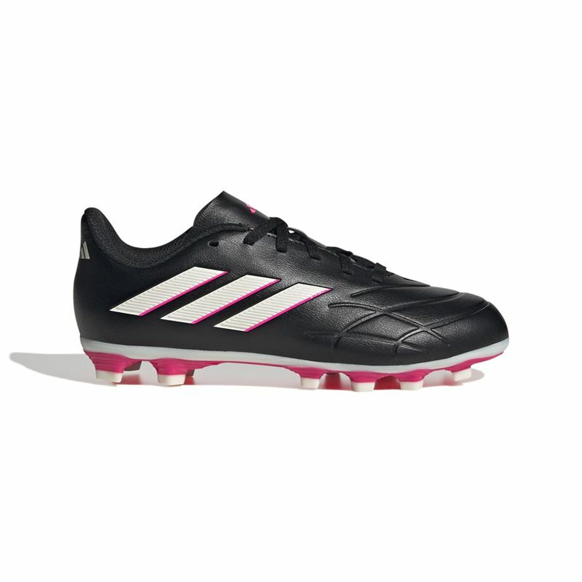 Crampons pour chaussure