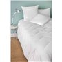 TOISON D'OR - Oreiller mémoire de forme - Paresse Soft - Confort extra souple - 60x60cm  - Blanc