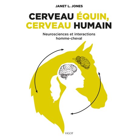 Cerveau équin