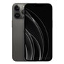 Apple iPhone 13 Pro Max 256 Go graphite