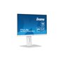 Ecran IIYAMA 27 Blanc dalle IPS 0.4ms ULTRA MINCE 1920x1080 16:9 100Hz 250 cd/m