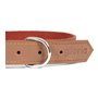 Collier pour Chien Gloria Oasis Marron (60 x 3 cm)