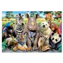 Puzzle Educa 15517