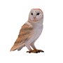 Mojo Wildlife Barn Owl - 381054 381054