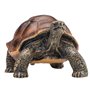 Mojo Wildlife Giant Tortoise - 387259 387259