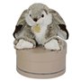 Lapin Marius 30cm avec boite