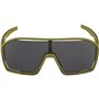 Lunettes de soleil Homme Alpina BONFIRE