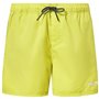 Maillot de bain homme Oakley Beach Volley 16" Vert clair