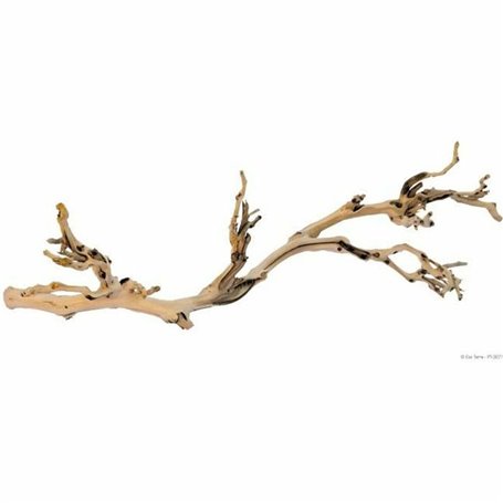 Décoration Exo Terra PT3077A1 Terrarium