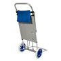 Chariot de plage polyvalent Aktive 47 x 100 x 52 cm Noir Aluminium