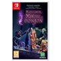 Le Maître du Donjon de Naheulbeuk - Jeu Nintendo Switch - Edition Limitée