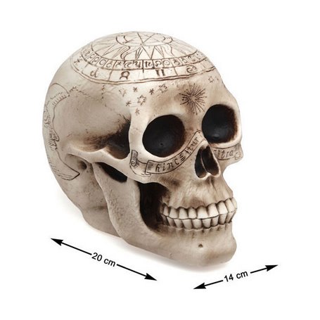Décoration d'Halloween Crâne 14 x 20 cm 14 x 20 x 14 cm