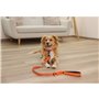 Laisse pour Chien Kerbl 80103 Noir Orange Imprimé