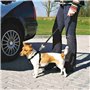 Harnais pour Chien Trixie Noir XS Voiture