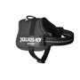 Harnais pour Chien Julius K9 Power Noir 2 Baby 2 (XS/S)
