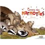 Comme des marmottes