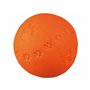 Jouet pour chien Trixie Caoutchouc Ø 6 cm