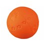 Jouet pour chien Trixie Caoutchouc Ø 9 cm